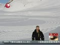  ӢѩϵĽ