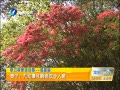 簲 