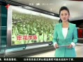 š 껨ֲ23 ɱǻƸۼ