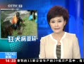 ֱ䡷 ̨Ȯ ȾȮ511