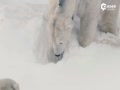 ԰ѩ԰ ˷ڶ