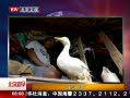 硷 Ѽǿ