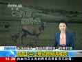 ֱ䡷 Ǽ ע2013ƿж ȦƵ