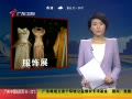㶫糿 ŦԼչ