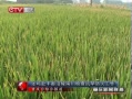  ᶼϴ鿹