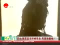 Ƶ̫¶۸ ǳǹ