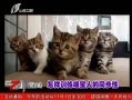 7š ѵ˵ͬ