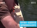 벻Ǹ