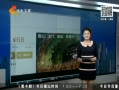 񳯡 ߵ飺Ų ;Դ