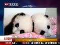 硷 ˯