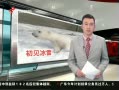š ô󱱼ܱѩ