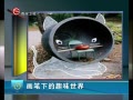  µȤζ