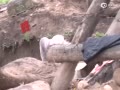ƵӾ硶ʮͺ١Ϊ