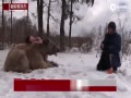 Ըģ˶ѩӵ ɱ