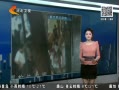 񳯡 㶫Яֽ Ѯ˱