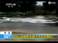 ֳԽҰƤ沨