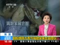 ֱ䡷 ܾɢ