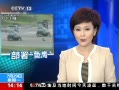 ֱ䡷 ձͬ פ12ӥ