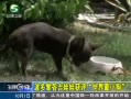 20֡ ޻С