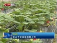  潭ţ̲ݮ