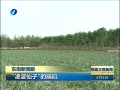 š 貨ӵ