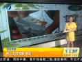 簲 ɽĹ ж 20130803