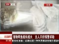 硷 ԽԽ ֻñ