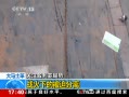 ֱ䡷 ʿ սµıȷ