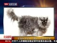 硷 èë23״¼