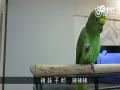 Ĵϸ 質Ұй