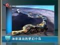  ͲóλС