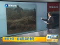 簲 ʱ״