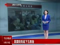 ӵ㡷 赮̥