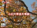 ۲ 20131028