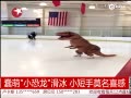 ԴBGMС ⻬Īϲ
