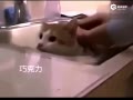 ּｨɾ Իèɿ