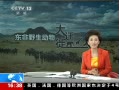 ֱ䡷 ͳֱۻʶ