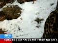 ֱ䡷 Ұٶ