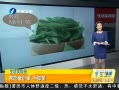 簲 Ҷ˲