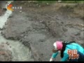 񳯡 ϣ300ͯѪǦ