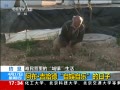 ֱ䡷 Լֵ