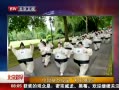 硷 ׶ؾٰЦ