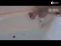 ˵ɾƵ