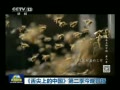  ϵйڶ