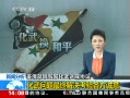 ֱ䡷 ս
