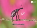 һû֮