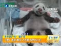 簲 ɰ èԲд˯ ζС