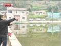  齫Ƭ