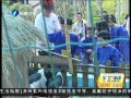 簲 Ϻݱ Ȼȥ