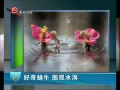  ţ Χˮ